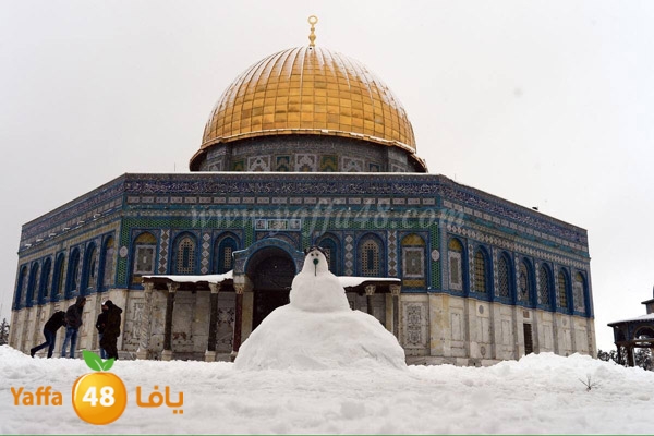 snow yaffa guys (8).JPG